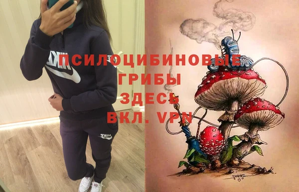первитин Армянск