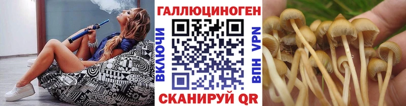 Галлюциногенные грибы Cubensis  OMG tor  Ачинск 